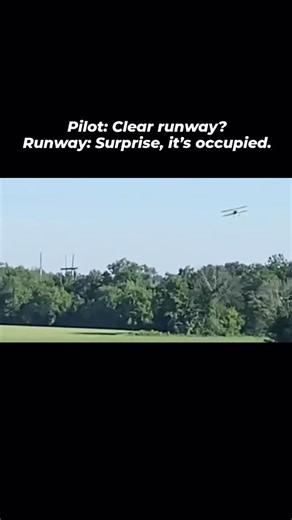 StrikeZone on Instagram: "The vintage biplanes were operating at a private airport that provided airshows and airplane rides to the public. The pilot of the departing airplane taxied for takeoff and was number two behind another airplane that was taxiing ahead of him. At the same time, the pilot of the landing airplane was in the traffic pattern, preparing for landing. Local procedures required landing airplanes to make a low approach to signal airplanes taking off that a landing was imminent; t