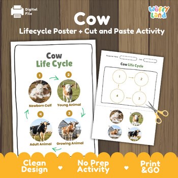 Cow Life Cycle Chart & Cut and Paste Activity | Farm Animal Biology Worksheet