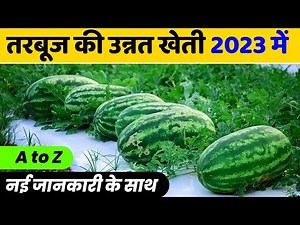 Tarbuj ki kheti kaise karen | तरबूज की खेती | Water melon Farming | tarbuj ki kheti kab kare