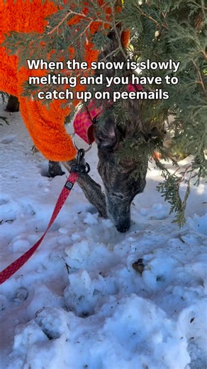 Maddie & Souki | Gotta achieve inbox zero | Instagram