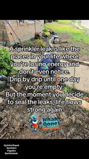 Emergency Sprinkler Repair Allen TX | Same-Day Lawn Sprinkler Contractor