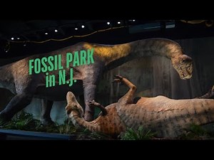 Sneak peek of $75M dinosaur fossil park & museum in N.J.
