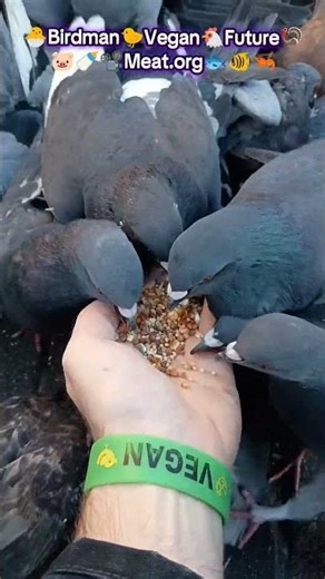 Door Dash Grub Hub Food DELIVERY for Animals