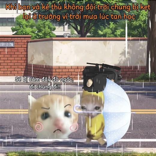 Khi bạn và kẻ thù không đội trời chung bị kẹt lại trường vì trời mưa lúc tan học #meme #catmeme #cat