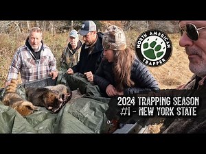 2024 Trapping Season #1 ~ NY Southern Tier ~ North American Trapper