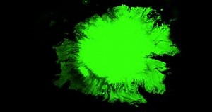 Abstract Paint Brush Stroke Shape White Ink Splattering Flowing and Washing on Chroma Key Green Screen, Ink Splatter Splash Stock Footage - Video of splatter, space: 302973318