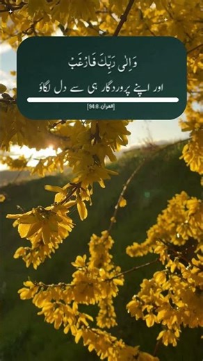 dil lagao#shorts #shortfeed #shortsvideo#islamicstatus #islamicvideo #trending #ustazahnighathashmi