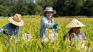 Watch From the Source Season 1 Episode 4 - Rice