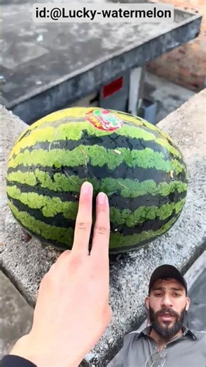 Experiment: Will a watermelon explode if it rolls off a high-rise building? #watermelon