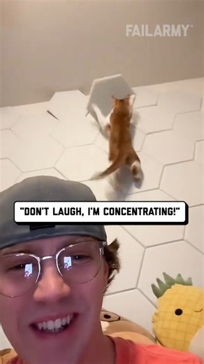 78K views · 334 reactions | Pets get into the weirdest situations  | FailArmy | Facebook