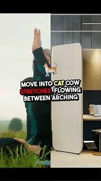 10-Minute Morning Yoga Routine for Beginners | Start Your Day with Energy and Calm