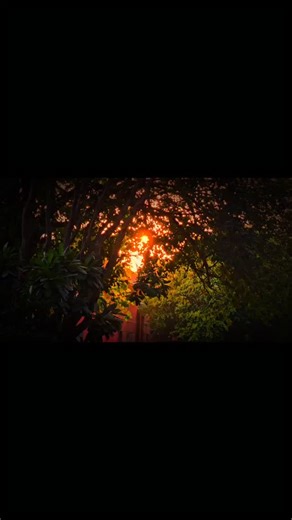 Balu on Instagram: "LinkedIn Posting Automation 🚀 Finally created a LinkedIn posting automation! 🎉 Started with Buffer, Post Queue & other tools but all were paid 💸 So I built my own programmatic solution using Selenium & Gemini API 🤖 🔥 Key Features: ✅ Auto-enhance posts with AI ✅ Schedule posts automatically ✅ Search & post PDFs (Python notes, SQL notes, etc.) directly ⚠️ Warning: Built with web scraping - LinkedIn's bot detection is strong! Browser finge