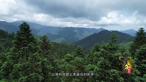 《美丽中华行》之《生态秘境——南山国家公园》