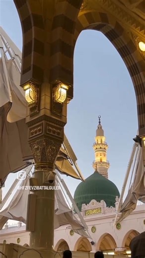 Chor Fikr duniya ki #naat #naatsharif #nature #shortvideo #beautful #quran #shorts #short #subscribe