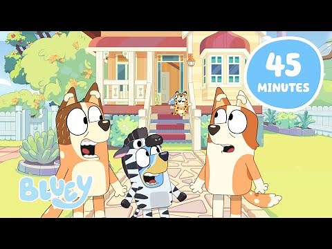 🔴LIVE: Bluey and Bingo Animal Time 💙 | Animal Games and Stories | Bluey
