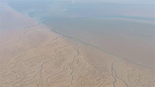 The laver farming area was bustling with activity in #Rudong county, #Nantong, #Jiangsu. Rudong has a total area of 140,000 square meters dedicated to the cultivation of laver and nearly 5,333 hectares for marine laver aquaculture. The county's laver products are now exported to more than 40 countries. #TasteinJiangsu | Jiangsu, China