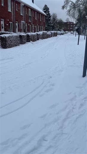 #GVD #Tyfes #Bende #viraal