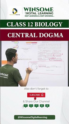 Central Dogma | Class 12 Biology #cbse12thbiology #education