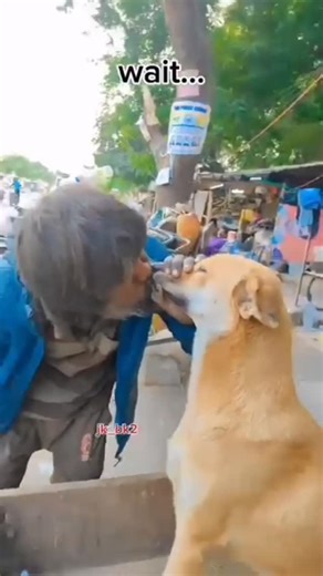 🍁🌿zames🌺🍃 on Instagram: "Dewa re dwwa 🐕🏃🤣🤣🤣🤣🤣🤣🤣🤣🤣🤣🤣"