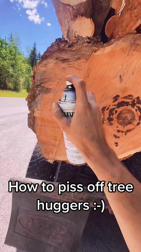 Spread Love to Tree Huggers with This Logging Video!