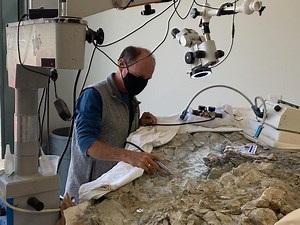 Utahraptor Megablock Fossil Project - Utah Geological Survey