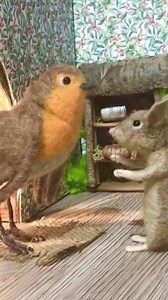 Poor little Robin has injured his wing 😢💔 #needlefelting #stopmotion #birds #videoshort #shortfilm #filmmaking #creative #animated #shorts #story #storytelling #animationart #animation | The Wishing Shed