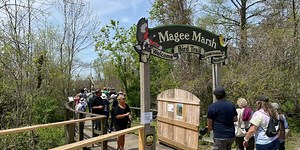 Birding Week 2022 is in full swing at Magee Marsh