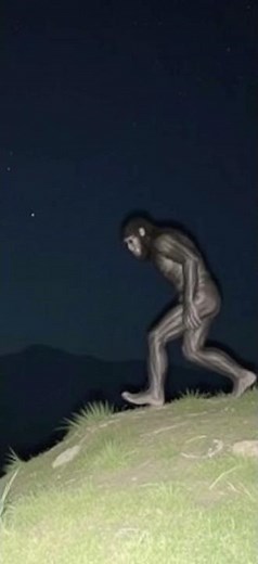 Skinny Sasquatch Stares at Man as it Walks by Camp #bigfoot Washington State Sighting Encounters