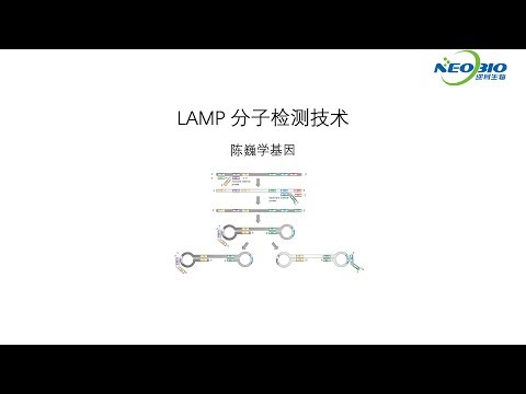 【陈巍学基因】第112期：LAMP 分子检测技术