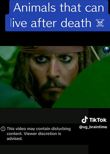 5 Animals That Can Live After Death #ugbraintime #fyp #foryoupage #foryou #viral live after death