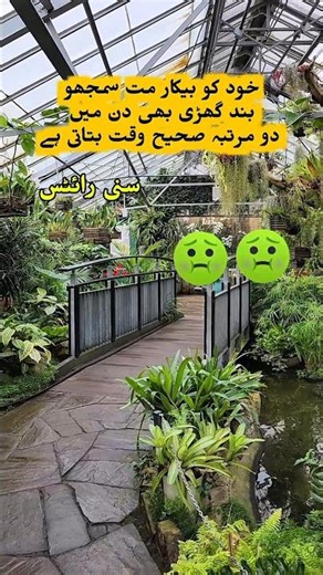 All insan qemati hai #shorts #ytshorts #fyp #viralvideo #viral