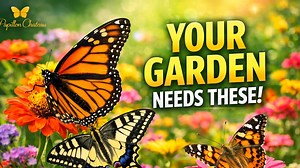 115 reactions · 13 comments | These 10 Butterfly Species Will Explode...