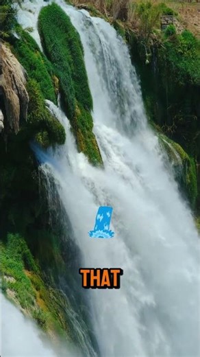 Why You Need Nature in Your Life for Inner Peace