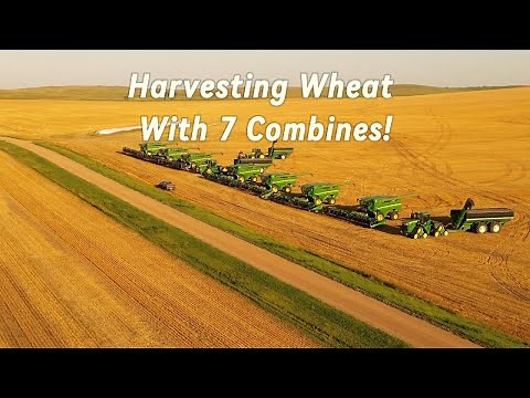 Wheat Harvest In North Dakota Continues!