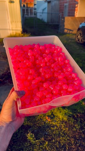 🔥Peach Hyper Blue OG Clusters🔥 You can see how this color changes from direct sunlight to indirect. Insane flash and sparkle and when you hold it up to the light it’s still transparent. 🎣 | Elevated Tackle