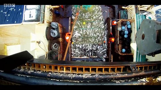 Extinction - The Facts