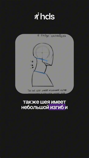 How to draw a NECK? The whole basics in 40 seconds. Learn how to draw portraits in the video above 🔼