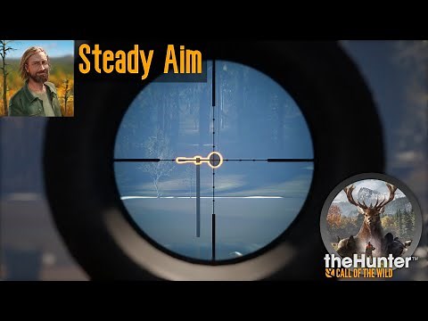 Steady Aim theHunter Call of the Wild