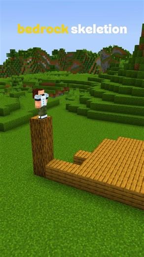 Minecraft Java Skelton vs Bedrock Skeleton Aim Moment...#minecraft