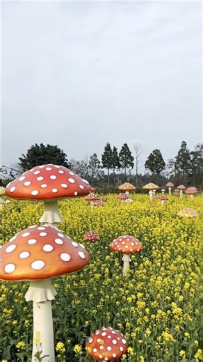 Mushroom land🍄