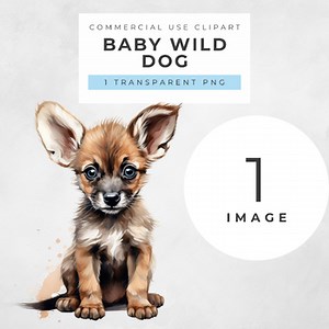Baby Wild Dog Transparent PNG Clipart