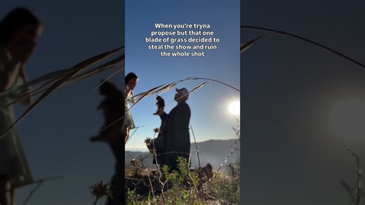 Small blade of grass ruins romantic cat filled proposal video