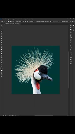 Photoshop - Tips for fixing errors when automatically removing the background #diznrolla #photoshop