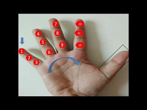 kids math: Counting using fingers