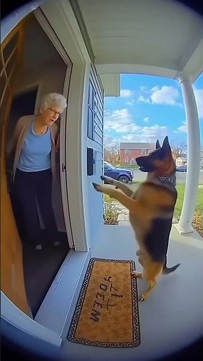 Would you train your dog in magic… or keep it a secret? 👀💬 #ai #sora #dog #magic #viral short