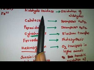Biological function of metalloenzymes and metalloproteins - Bioinorganic chemistry