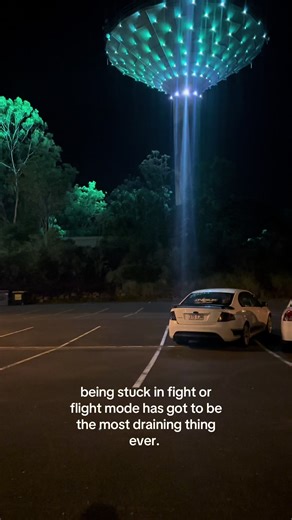 Overcoming the Struggles of Fight or Flight Mode