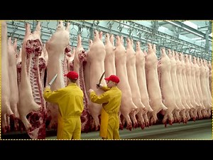 Inside the Modern Pork Factory 🐖Pork Meat Mass Production 🏭 Full Process