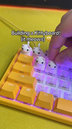 Duckeys™ | I built a Kitty Keyboard that MEOWS! 🐱 This is not a full release however in the meantime, check out Duckeys.com #Artisan #Artisankeycap... | Instagram