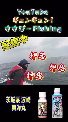 切り抜き、 アマダイ激渋の日攻略
